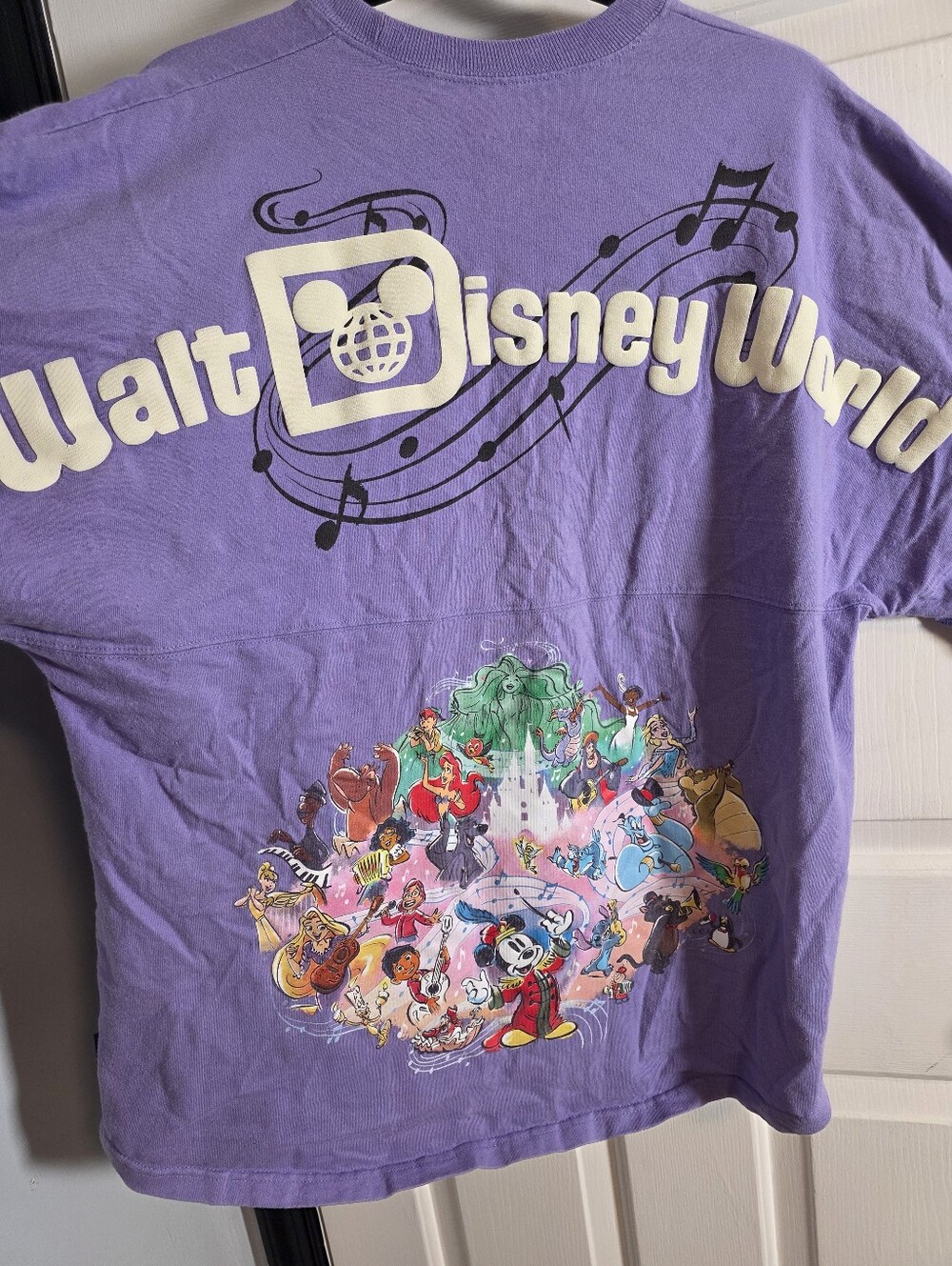 Disneyworld 100 Spirit Jersey Size Large
